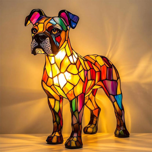 LUCIA LOPEZ™ | Boxer Brillante
